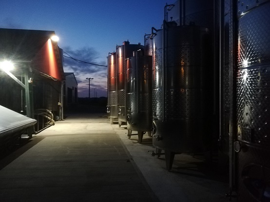 Koch winery at night